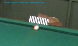 Putnam Squirt2.jpg