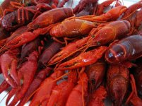 crawfish.jpg