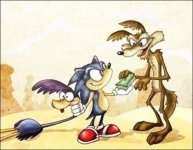 Sonic-vs-Roadrunner.jpg