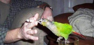 Daily Afternoon Picdump No_96_39.jpg