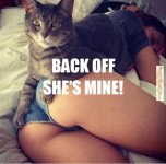 cat on girl.jpg