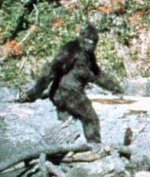 bigfoot.jpg