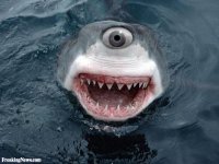 Cyclops-Shark--72711.jpg