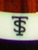 TS logo.jpg