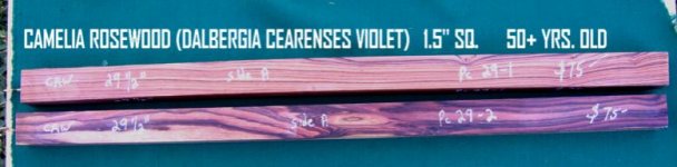 CRW SQUARES 002 JPEG.jpg