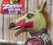zhorse.jpg