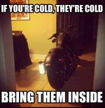 if-youre-cold.jpg