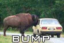 bump.jpg