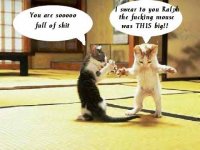 Bragging%20Kitty.jpg
