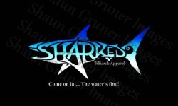 sharked.jpg