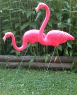 Pink Flamingo.jpg