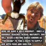hoodrat.JPG