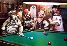 SP-2193-bi-Dog-Pool-Hall.jpg