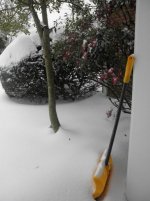 Snow Shovel.jpg