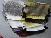 20130614_155302.jpg