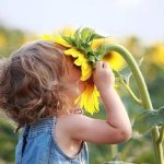 We're All Golden SUnflowers Inside.jpg