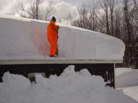 roof.jpg