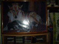 DSC00282.jpg