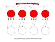 CTE Visual Perceptions.jpg