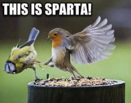 ImageUploadedByTapatalk1394520208.040557.jpg