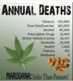 Pot Safer than peanuts FB.jpg