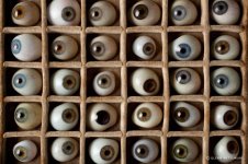73_1_MG_6555GlassEyesLB.jpg