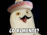nocomrendelo.jpg