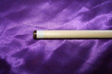 IMG_1569.jpg