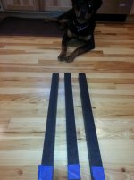 toms pictures 001.jpg