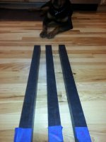 toms pictures 002.jpg