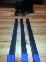 toms pictures 003.jpg