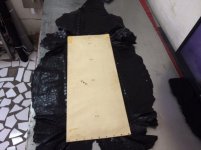 Alligator Belly hide.jpg
