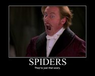 Funny-and-Scary-Spiders-2.jpg