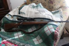 Rifle Photos (AZ Forum) 003.jpg