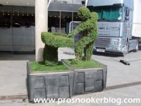 crucible hedge art.jpg