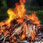 firewood.jpg