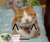 kekekitty5ov6hk.jpg