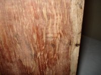 Bubinga OO2.jpg