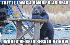 great-photos-thechive-38.jpg