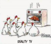 reality.jpg