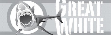 Great-White-Shark (2).jpg