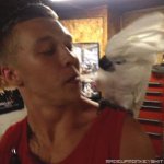 funny-gifs-snoned-parrot.jpg