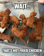 chicken.jpg