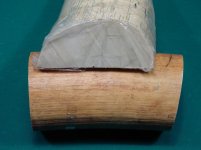 ivory_4.jpg