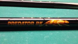 Predator Logo.jpg
