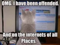 cat.jpeg