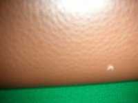 DSCN08630001.JPG