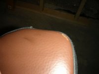 DSCN08600001.JPG