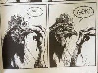 600_this-chicken-will-.jpg