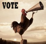 vote-today1.jpg